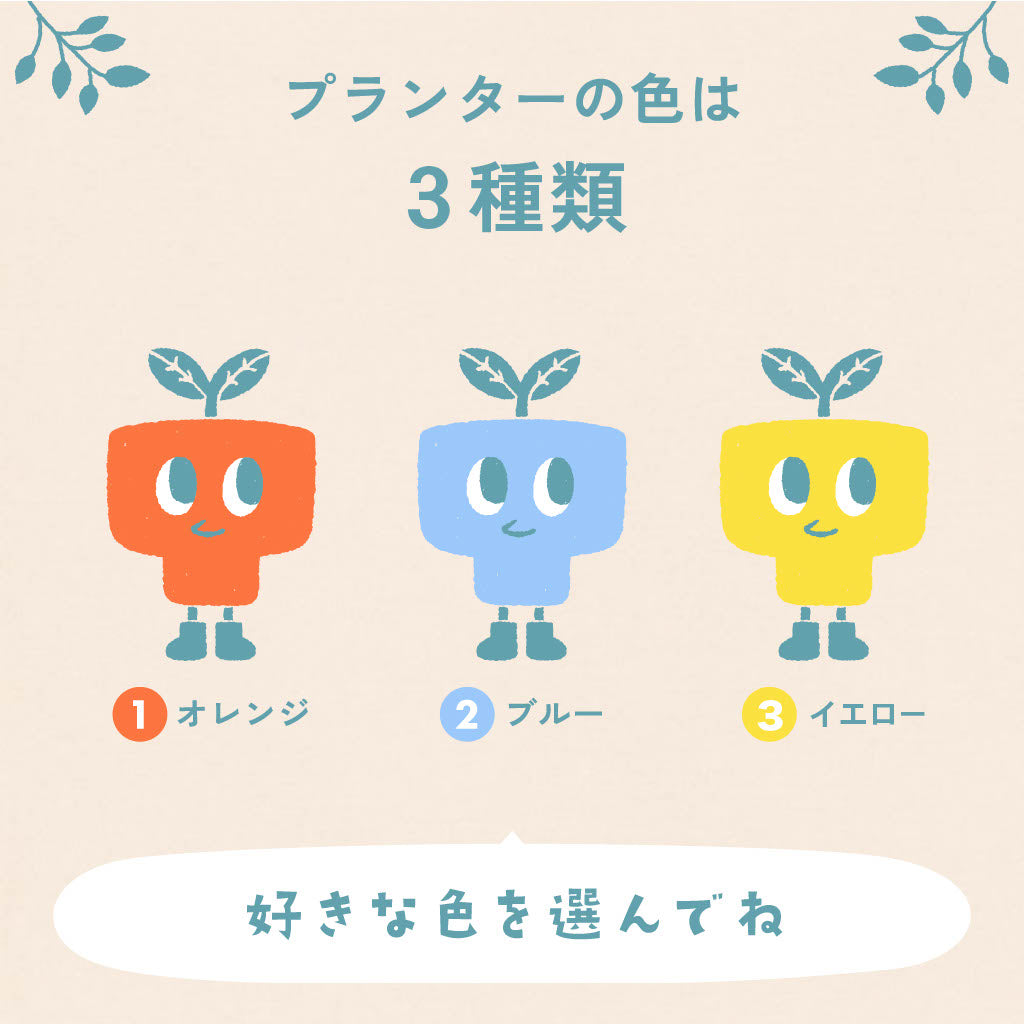 【ガジュマル】PEco plants