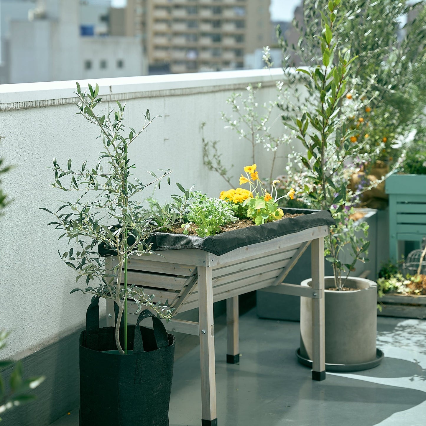 7plantsの初めてガーデニングセット(夏のエディブルフラワーver)