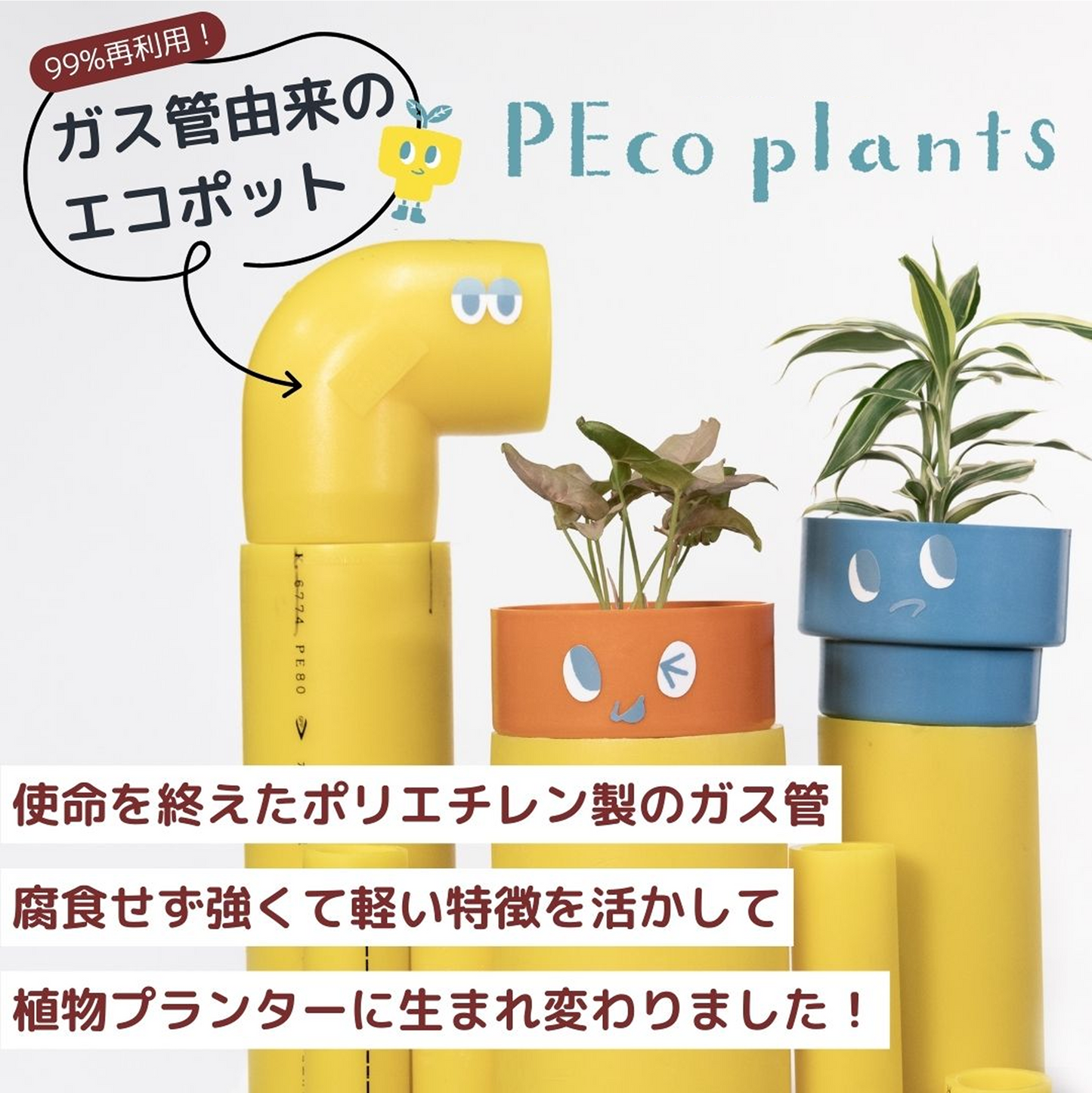【エントリー】PEco plants