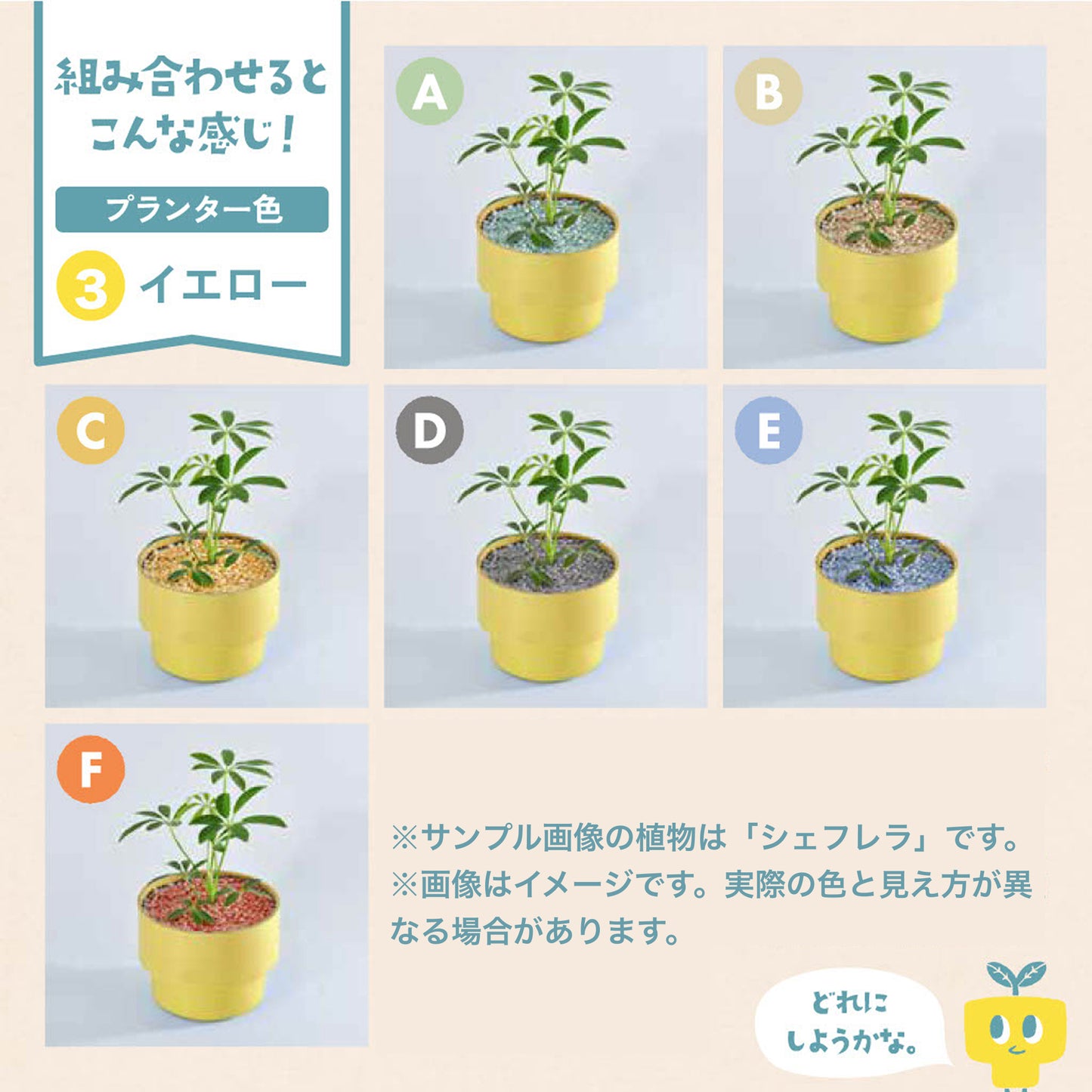 【エントリー】PEco plants