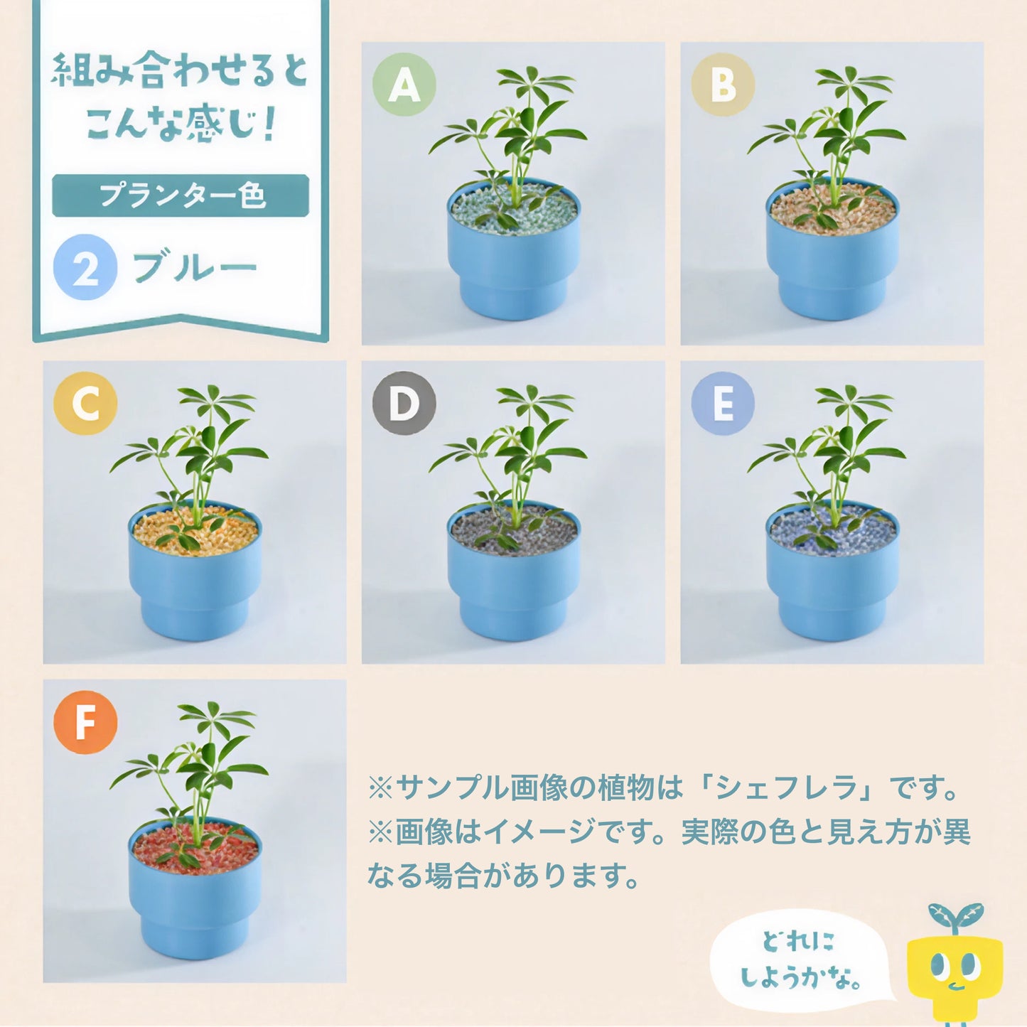 【エントリー】PEco plants