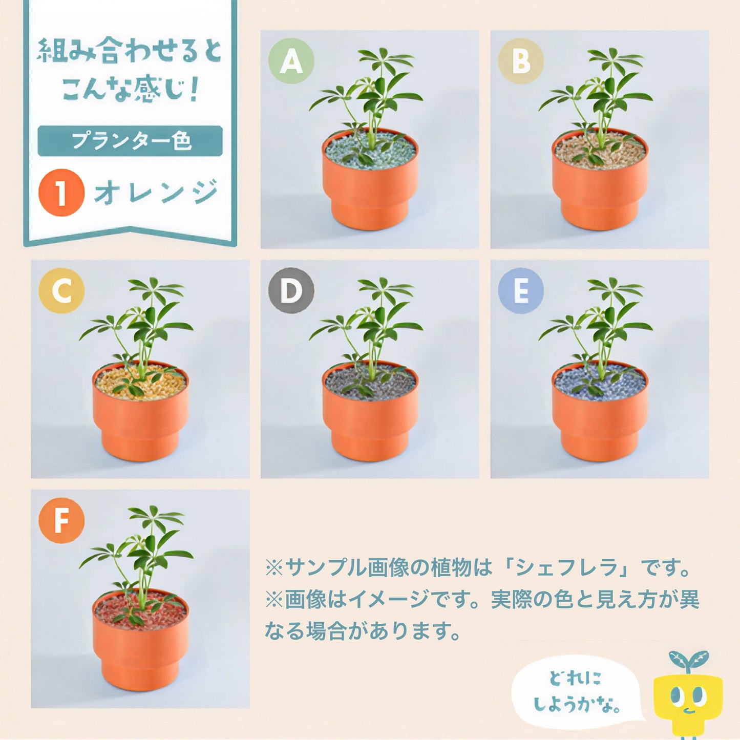 【エントリー】PEco plants