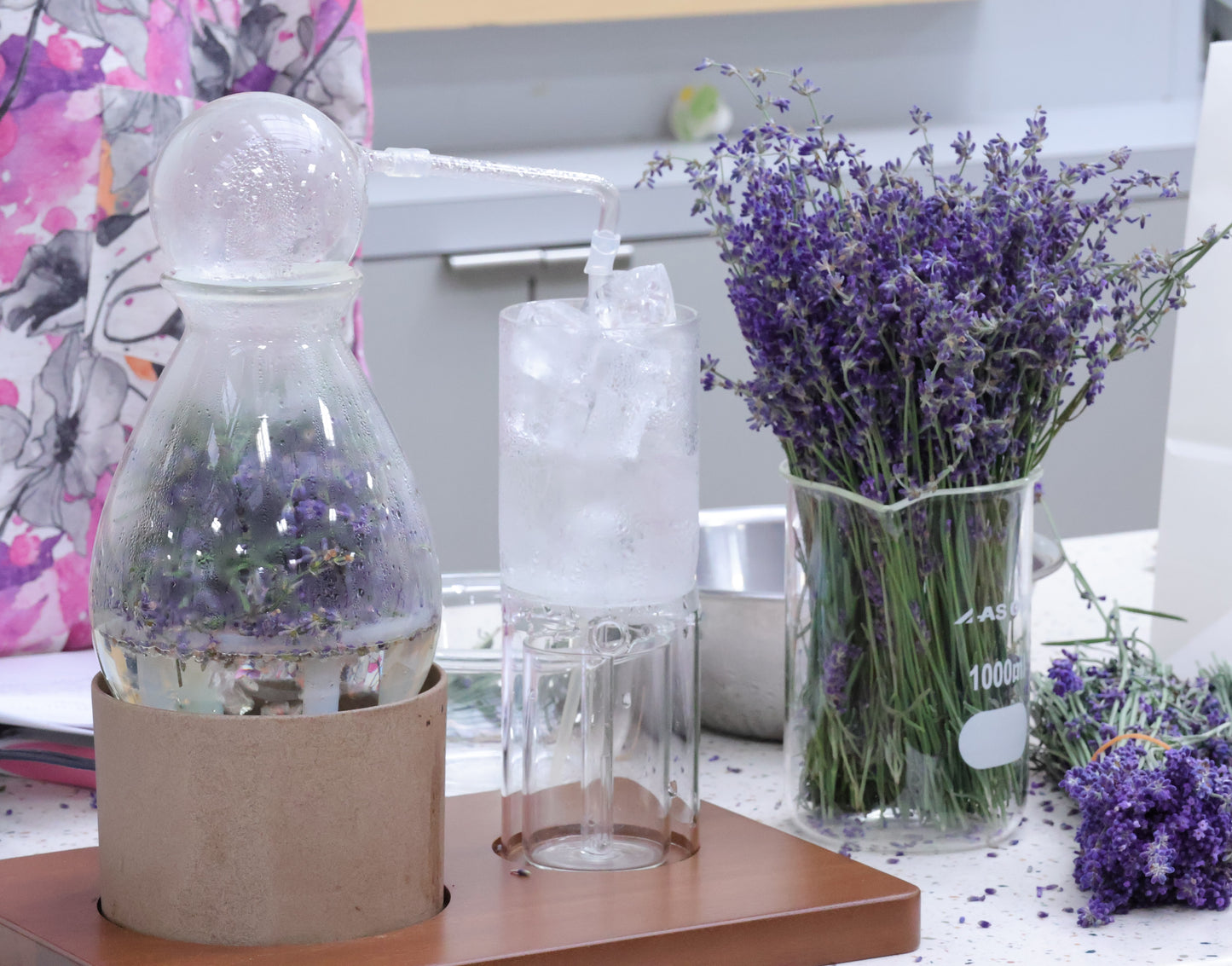 植物と「香り」を楽しむワークショップ|癒しのハーブ「ラベンダー」でアロマ蒸留体験&手作り石鹸