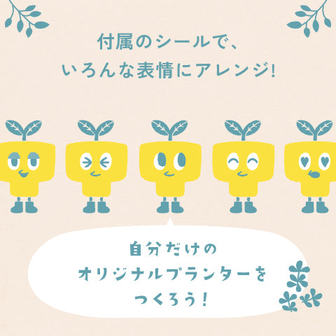 【ガジュマル】PEco plants
