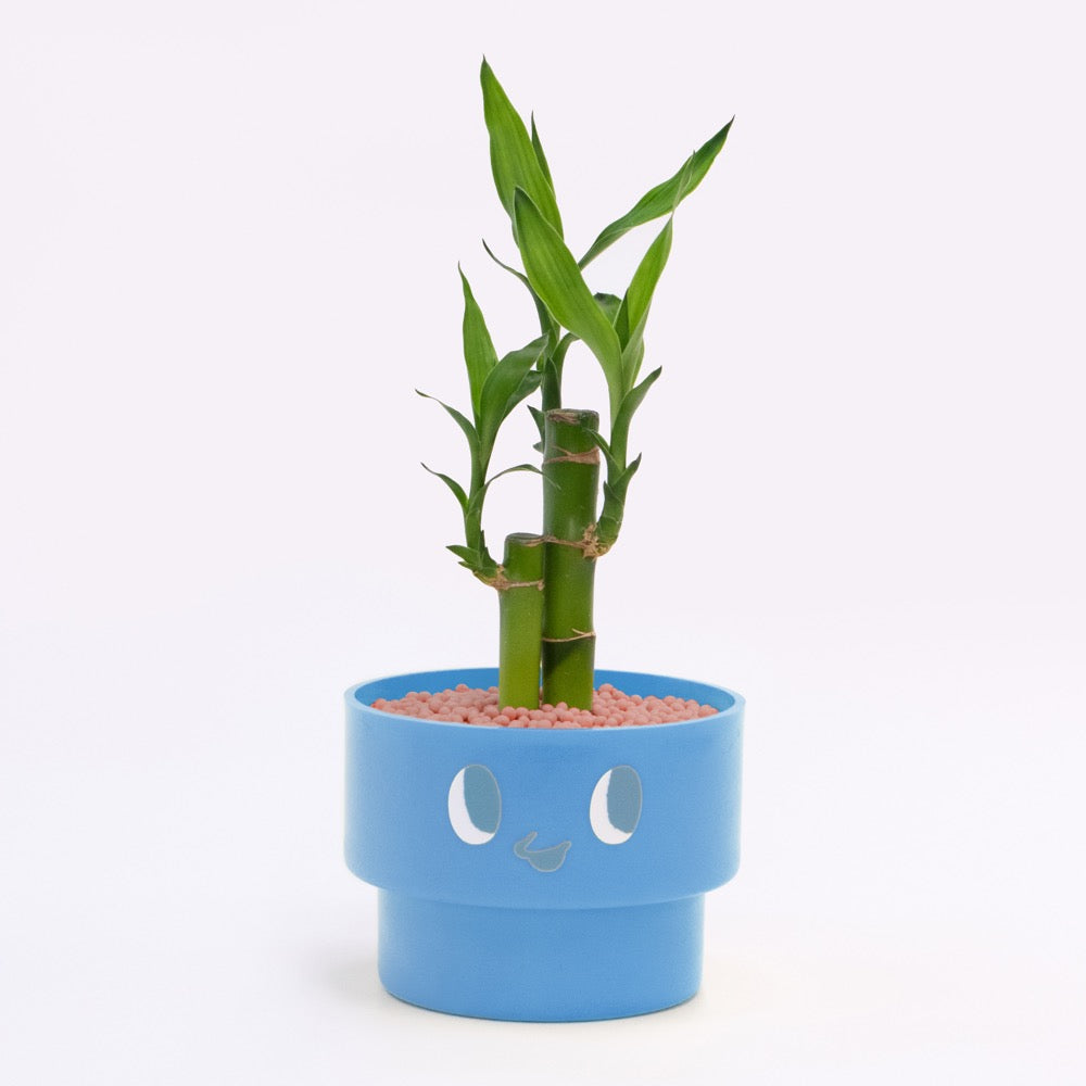 【エントリー】PEco plants