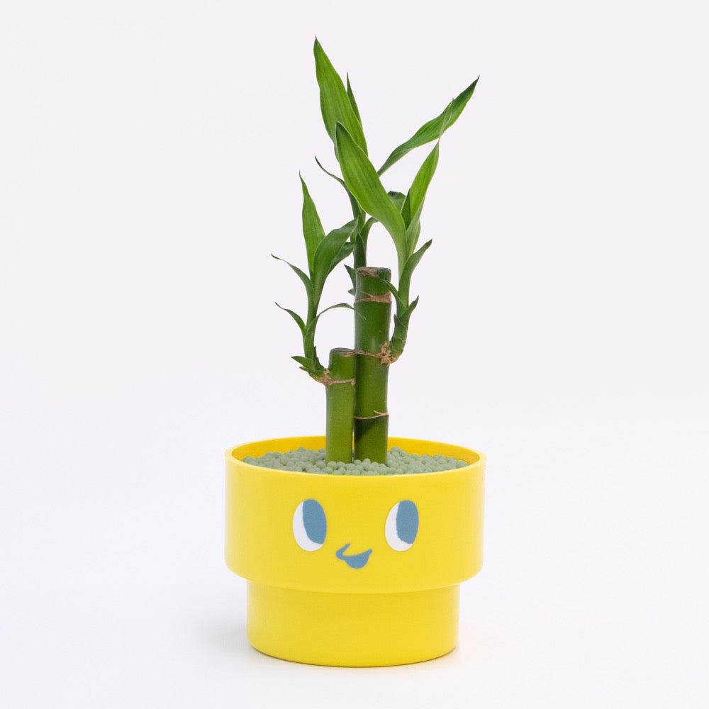 【エントリー】PEco plants