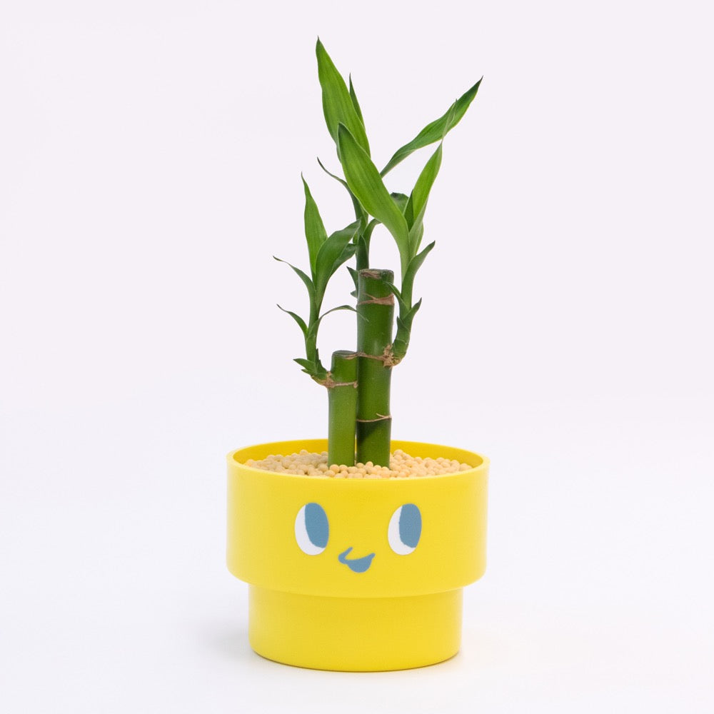 【エントリー】PEco plants