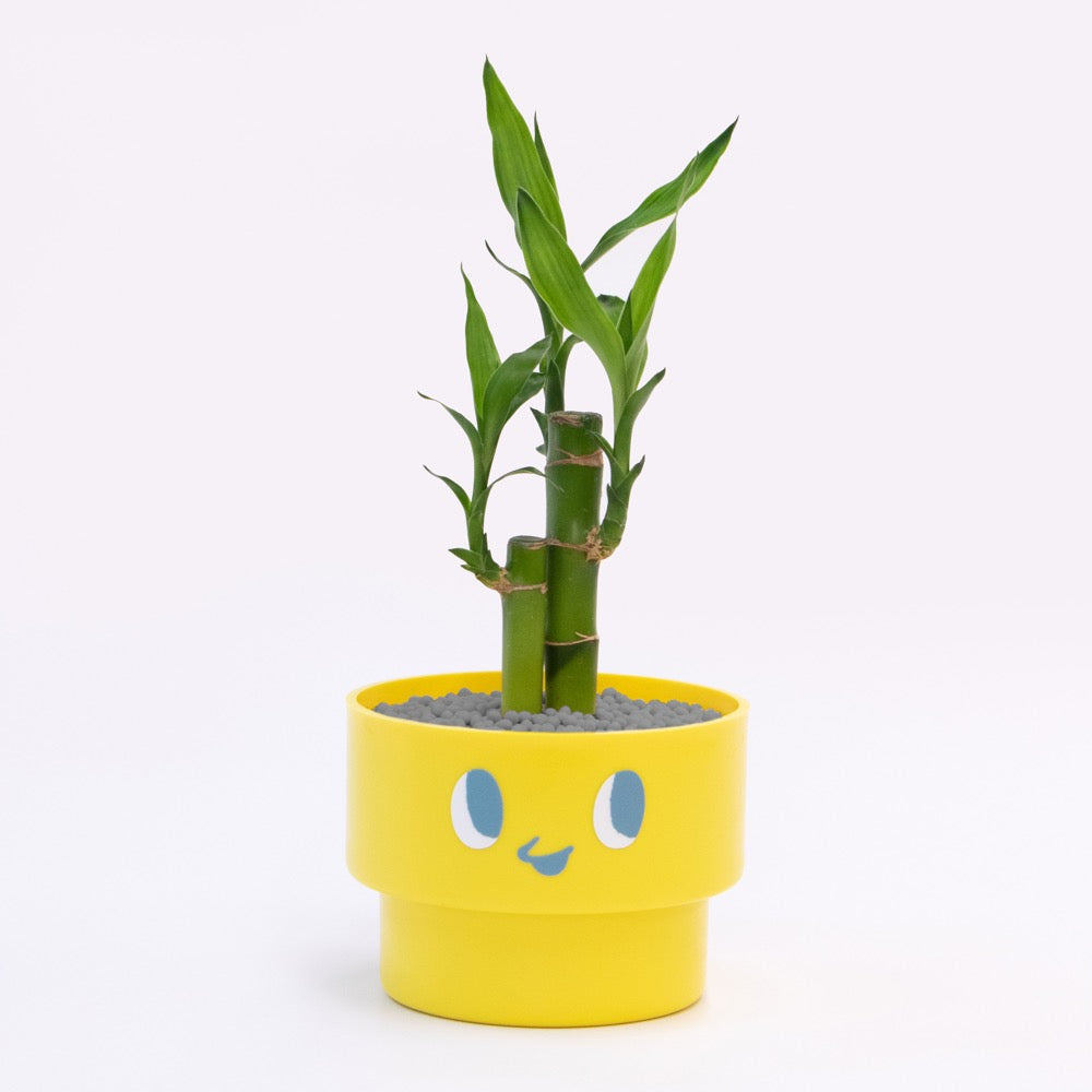 【エントリー】PEco plants