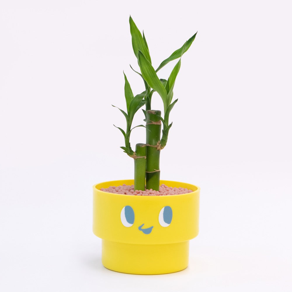 【エントリー】PEco plants