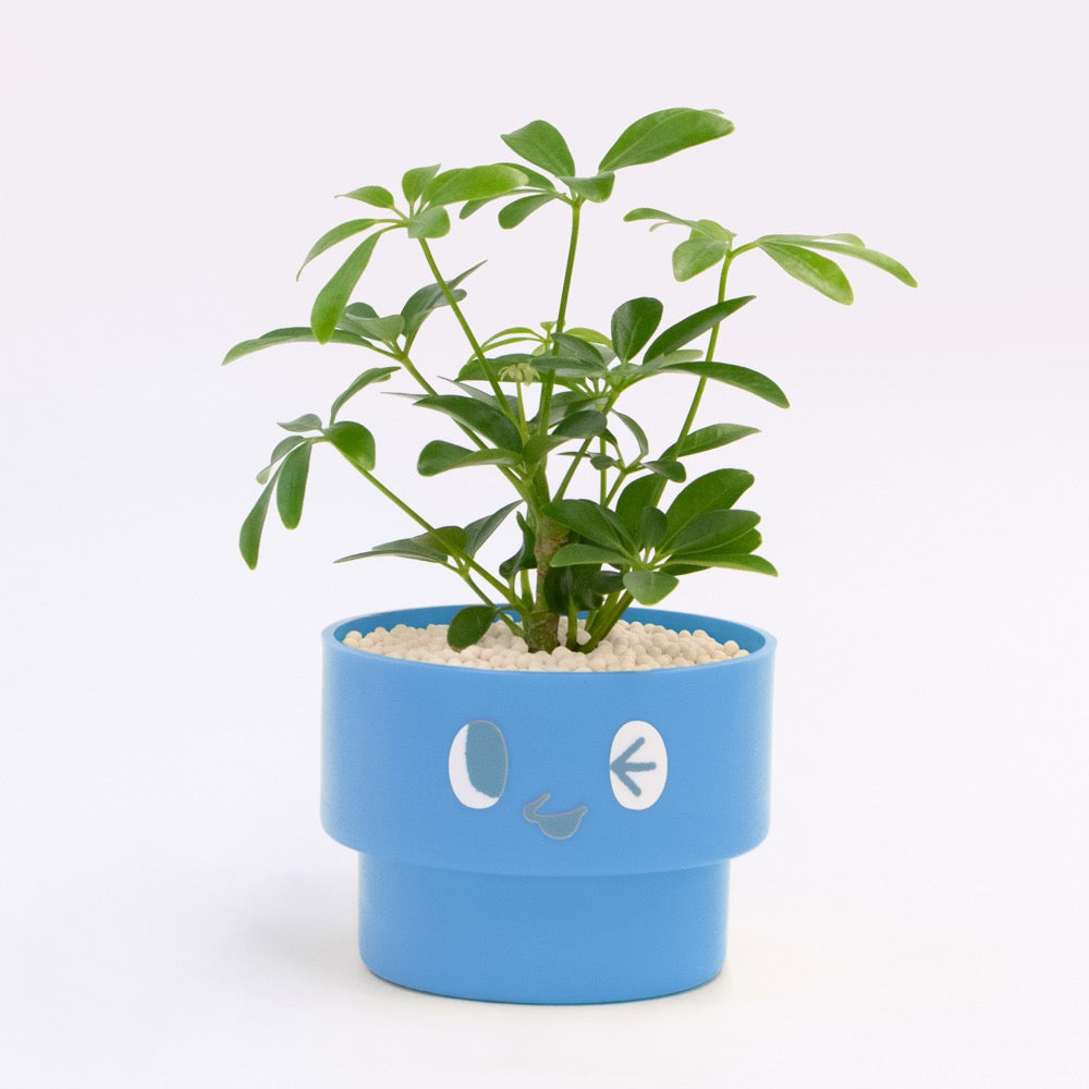 【エントリー】PEco plants