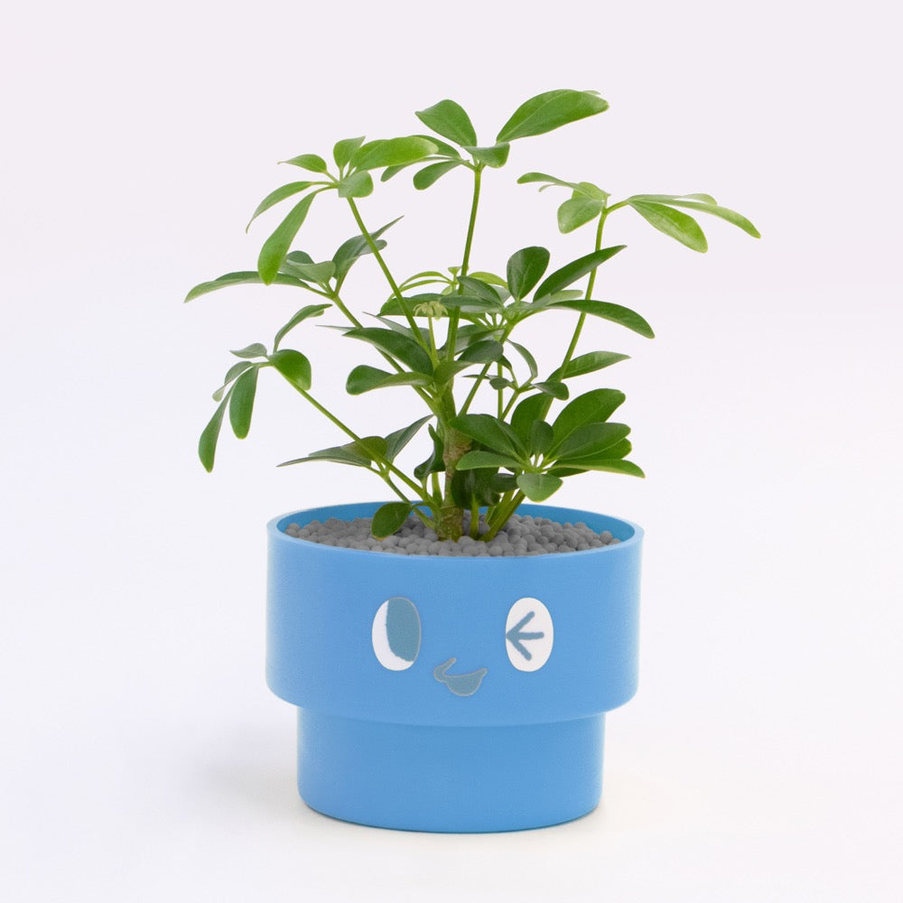 【エントリー】PEco plants