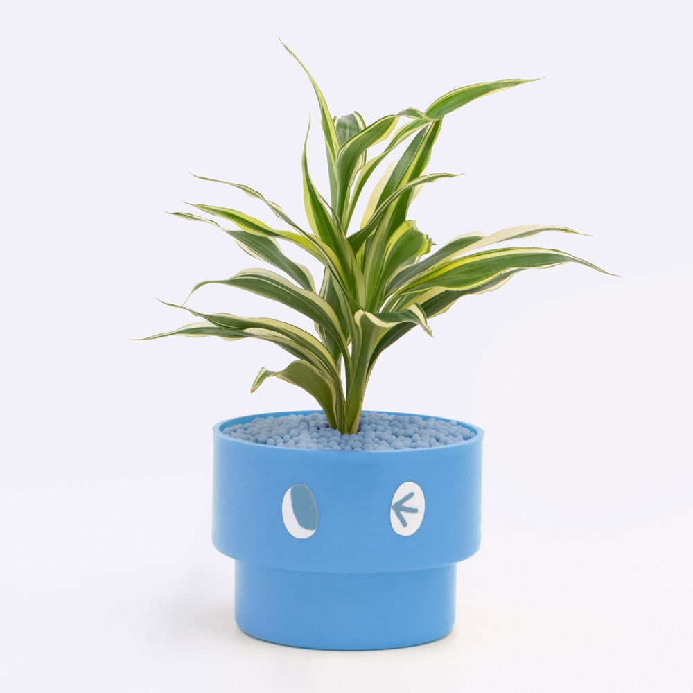 【エントリー】PEco plants