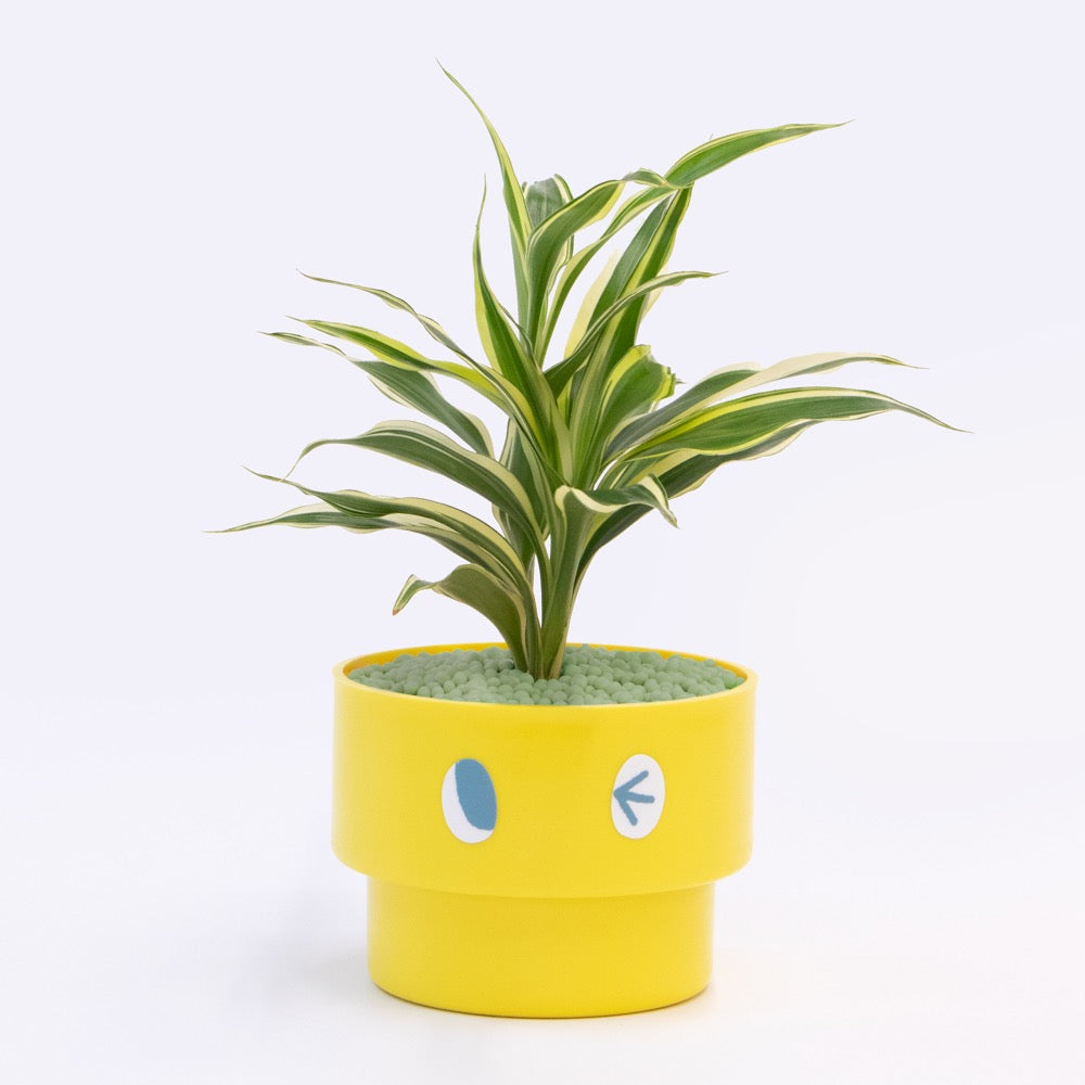 【エントリー】PEco plants