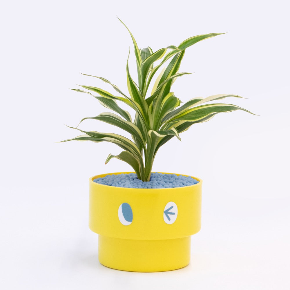 【エントリー】PEco plants