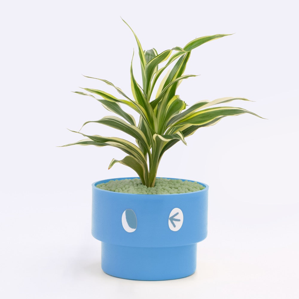 【エントリー】PEco plants