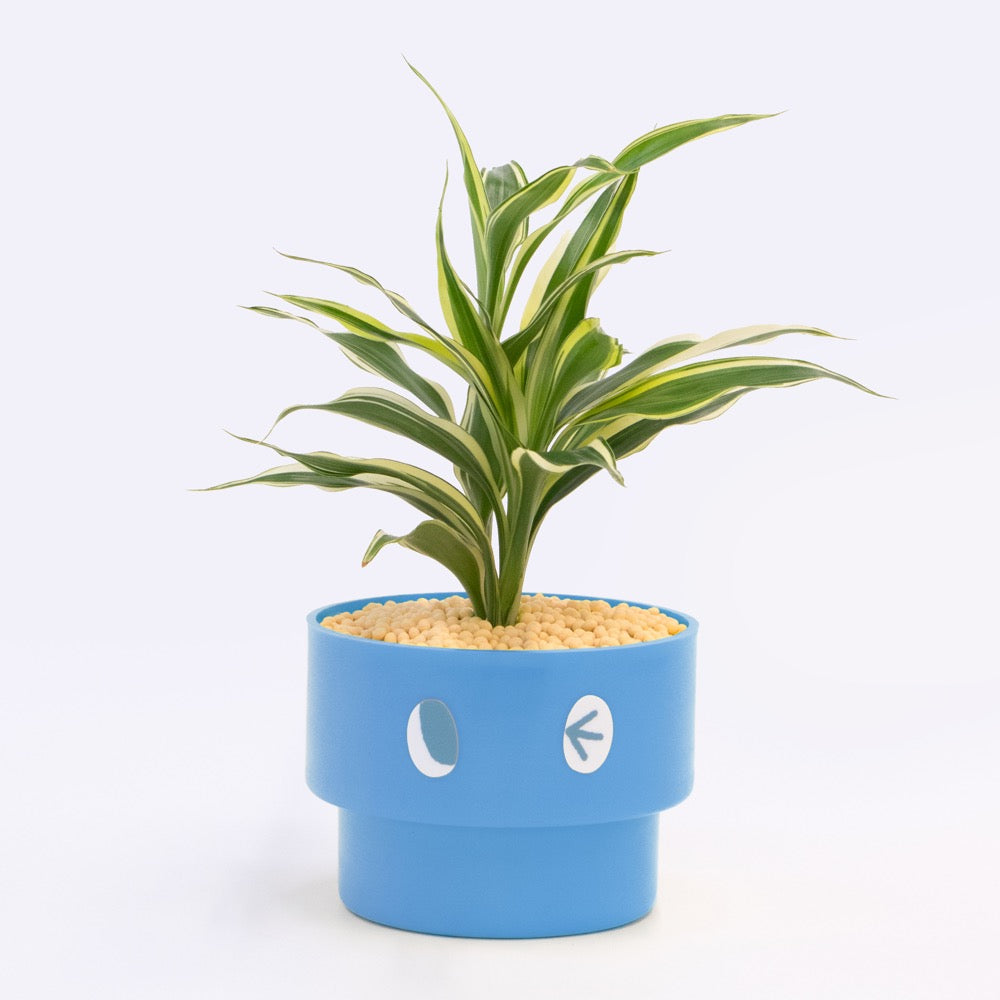 【エントリー】PEco plants