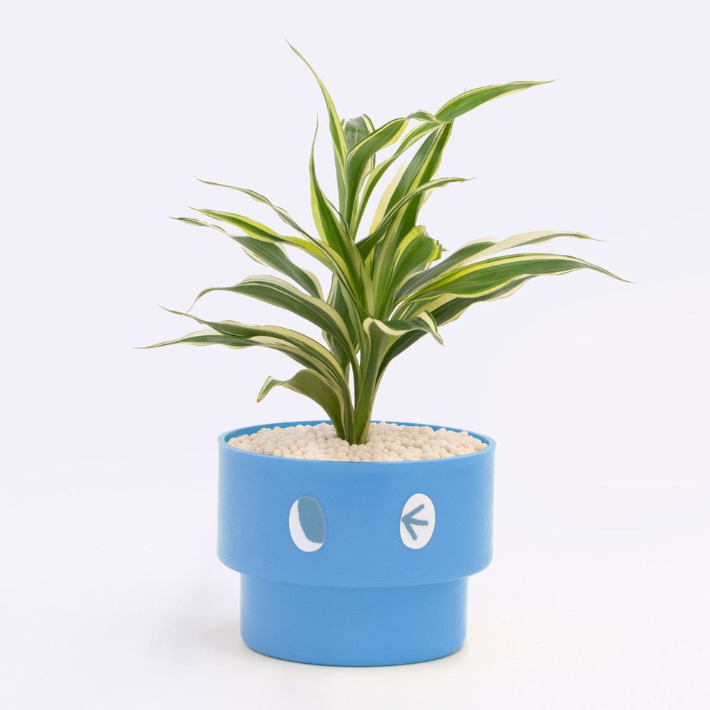 【エントリー】PEco plants