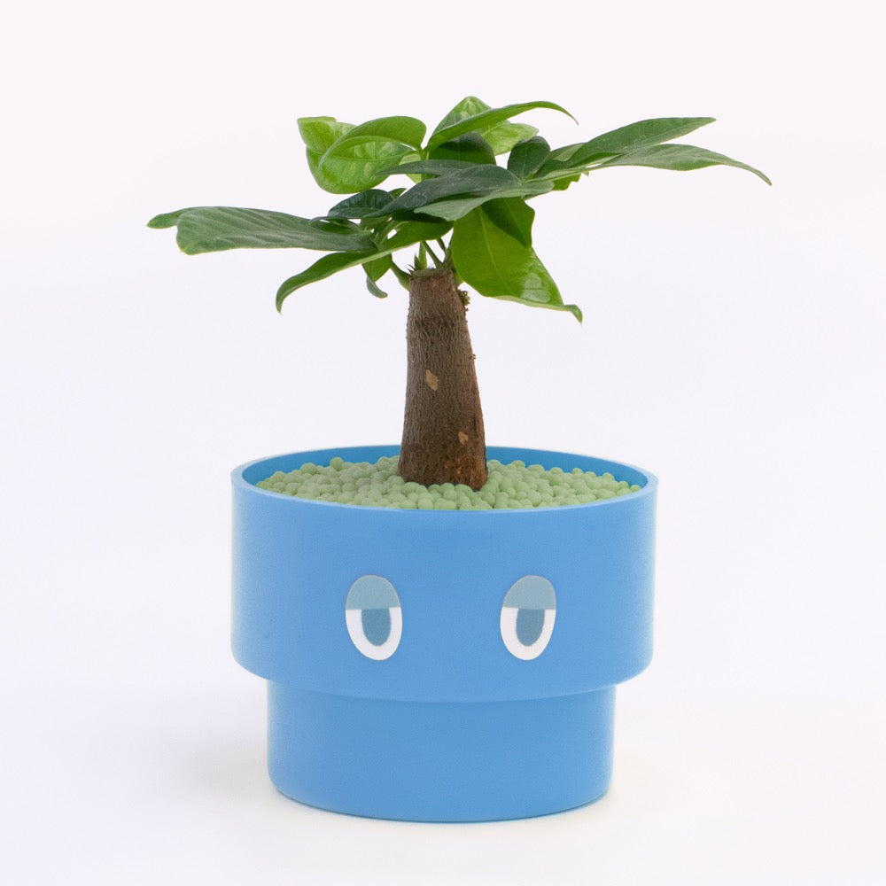 【エントリー】PEco plants