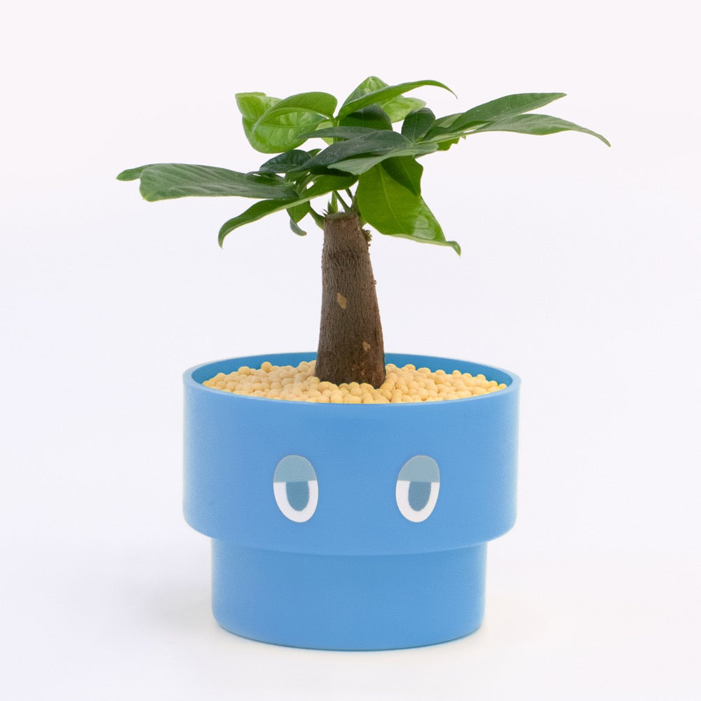 【エントリー】PEco plants