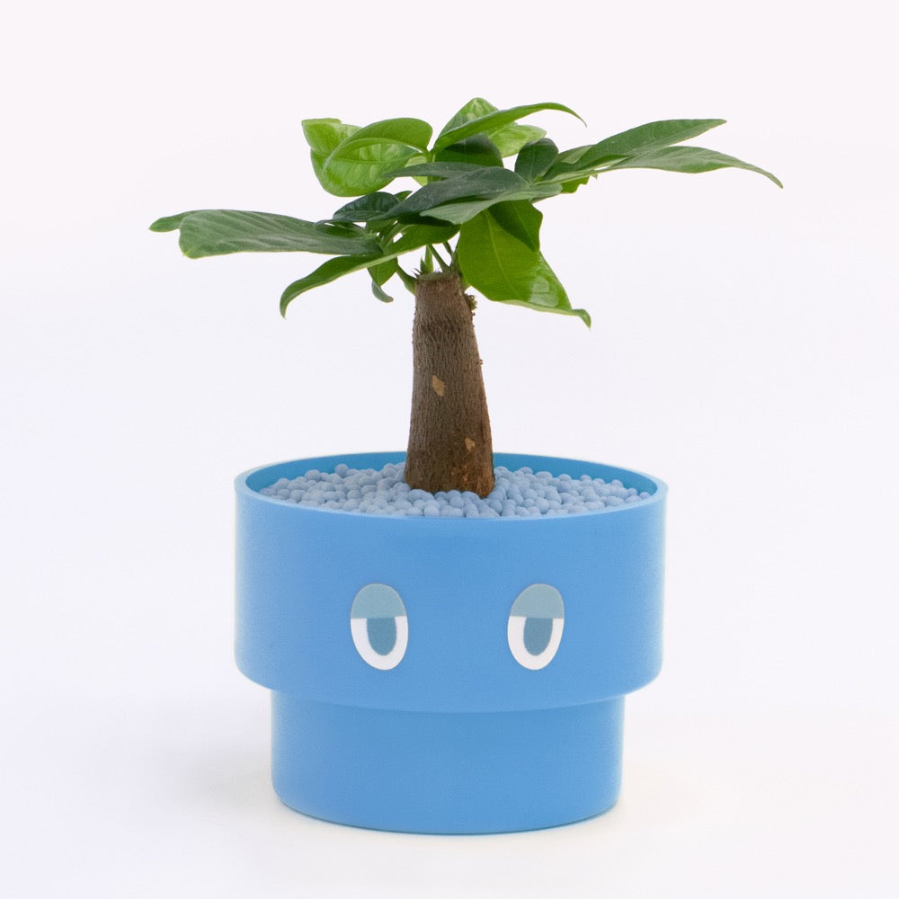 【エントリー】PEco plants