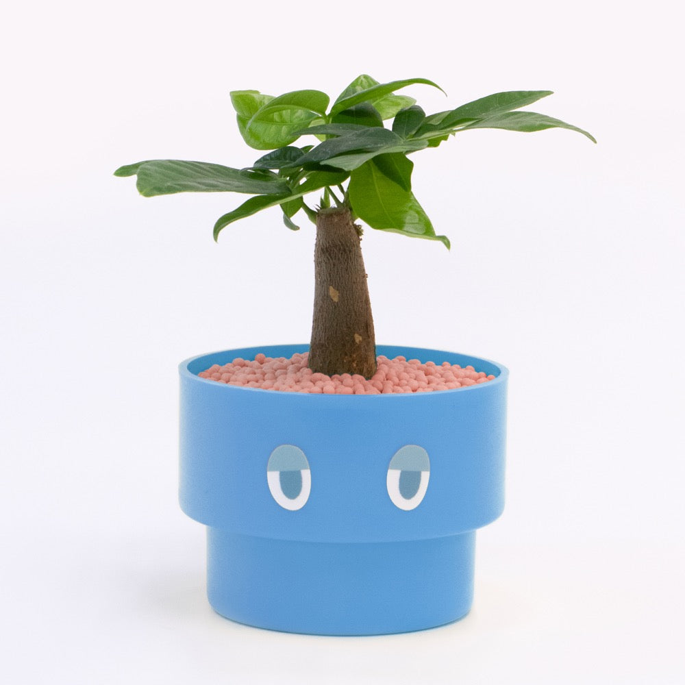 【エントリー】PEco plants