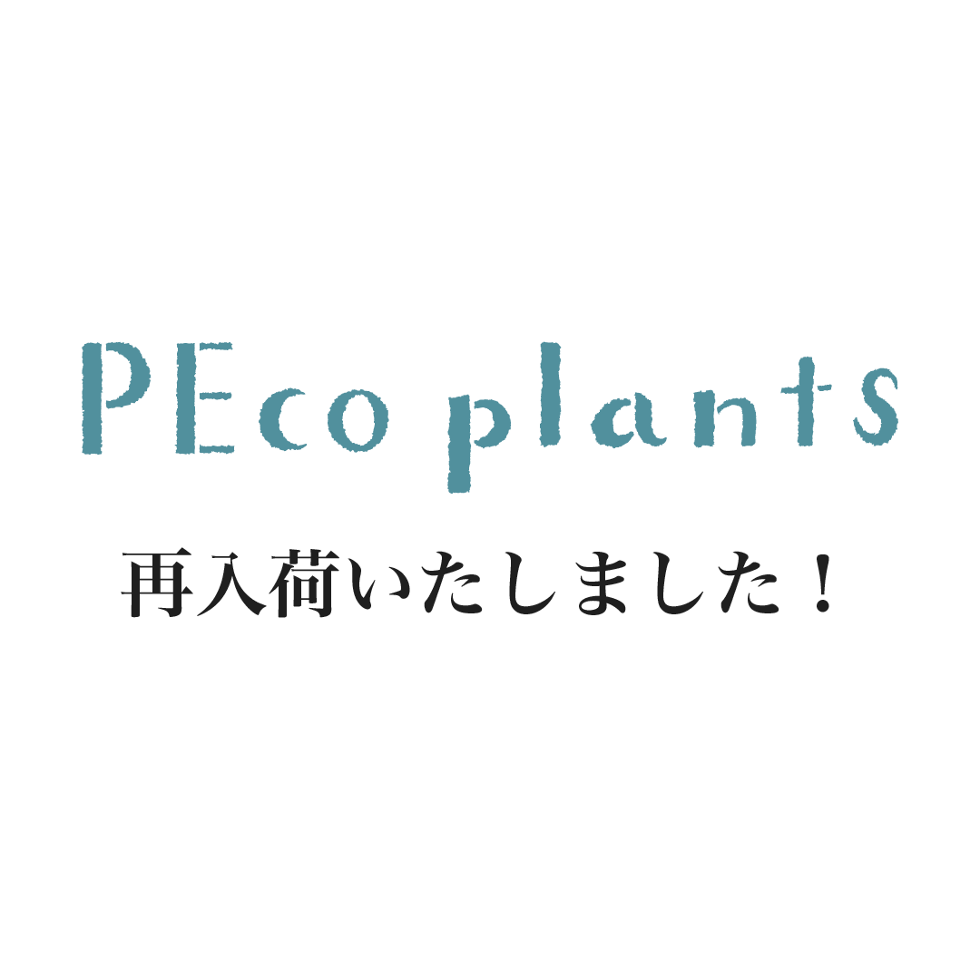 PEco plants再入荷のお知らせ