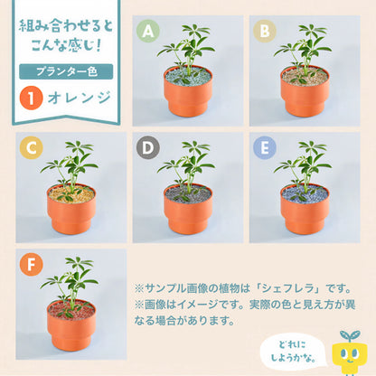 【ベーシック】PEco plants