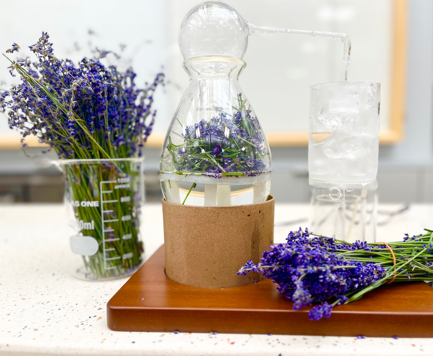 植物と「香り」を楽しむワークショップ｜癒しのハーブ「ラベンダー」でアロマ蒸留体験＆手作り石鹸