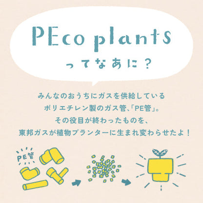 【ベーシック】PEco plants