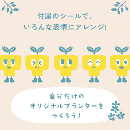 【ガジュマル】PEco plants
