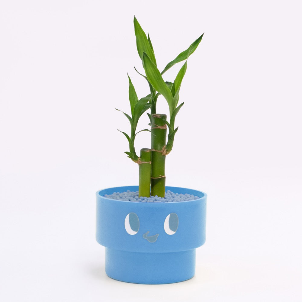 【エントリー】PEco plants