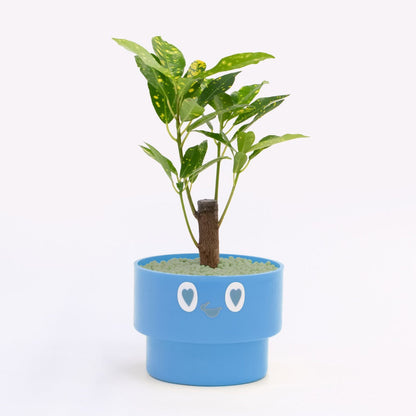【ベーシック】PEco plants