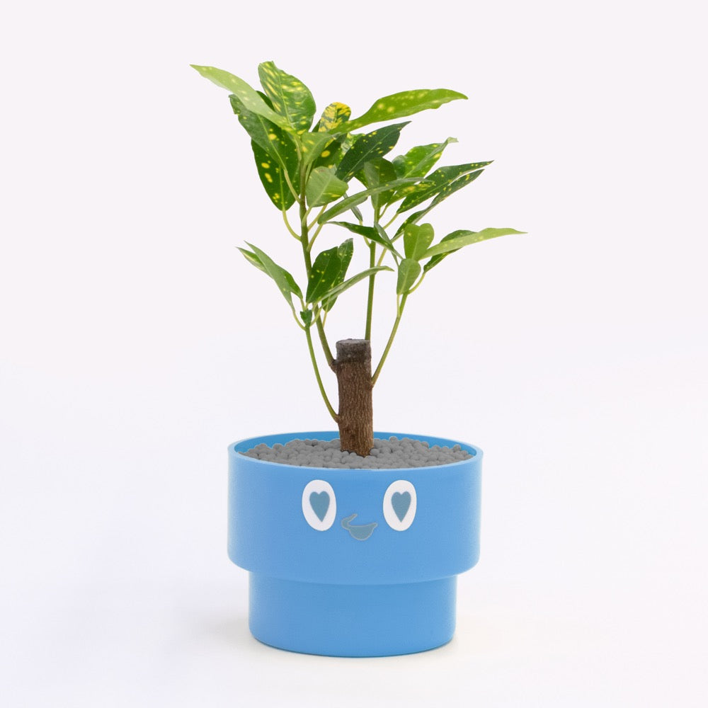 【ベーシック】PEco plants