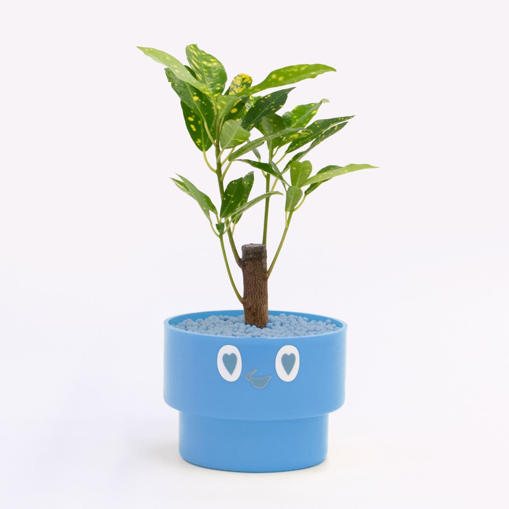 【ベーシック】PEco plants