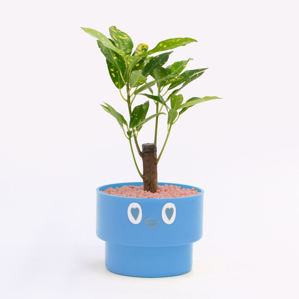 【ベーシック】PEco plants