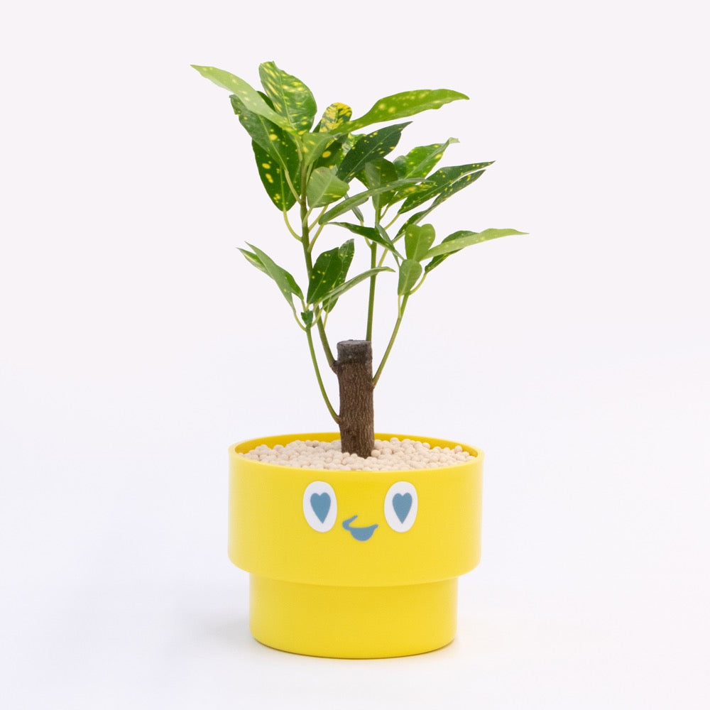 【ベーシック】PEco plants