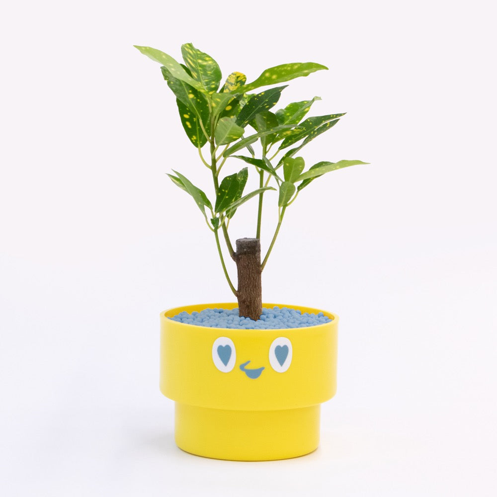 【ベーシック】PEco plants