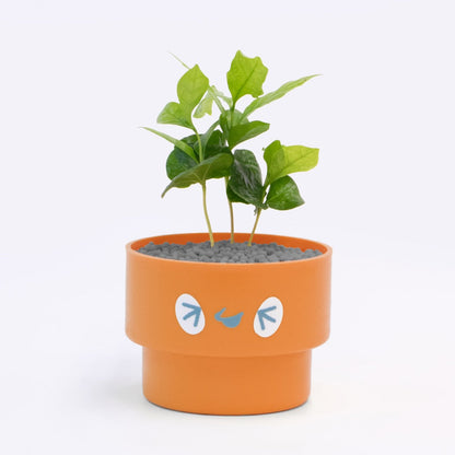 【ベーシック】PEco plants