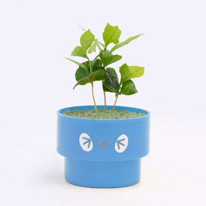 【ベーシック】PEco plants