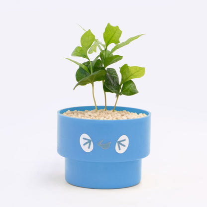 【ベーシック】PEco plants
