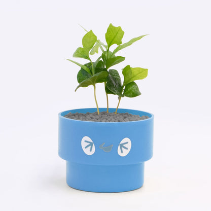 【ベーシック】PEco plants
