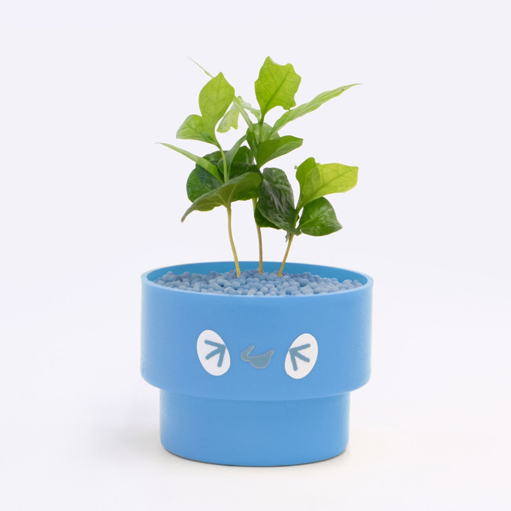 【ベーシック】PEco plants