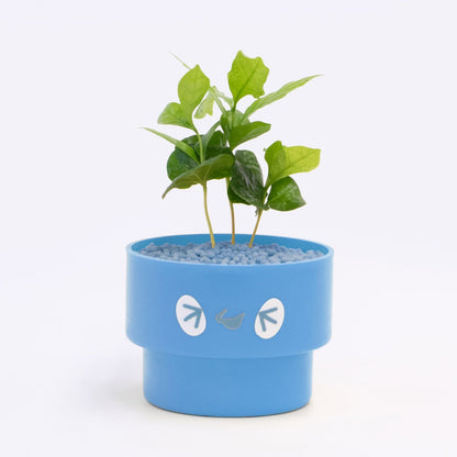 【ベーシック】PEco plants