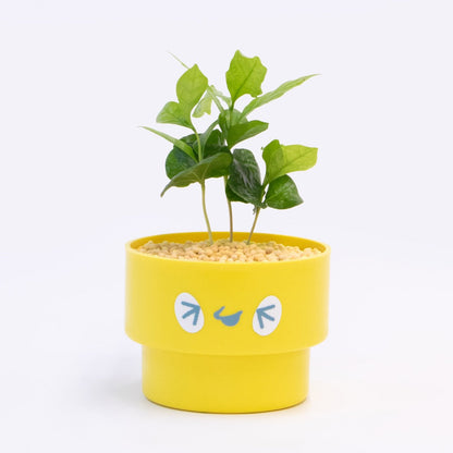 【ベーシック】PEco plants
