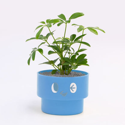 【エントリー】PEco plants
