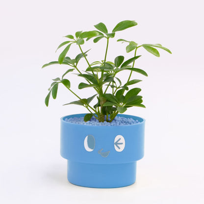 【エントリー】PEco plants
