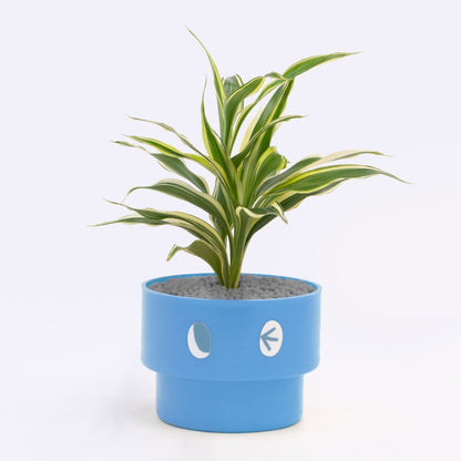 【エントリー】PEco plants