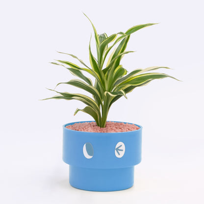 【エントリー】PEco plants