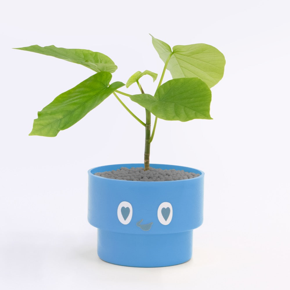 【ベーシック】PEco plants