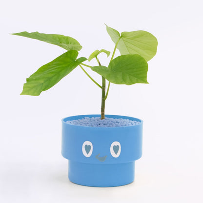 【ベーシック】PEco plants